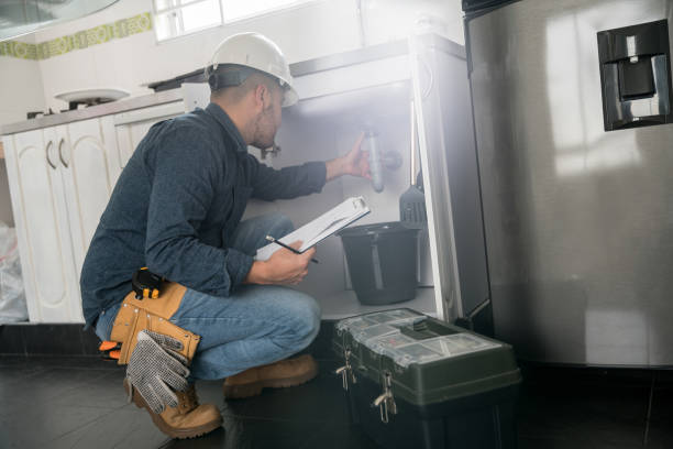 Best Plumbing Inspection Services  in Lake Wildwood, CA