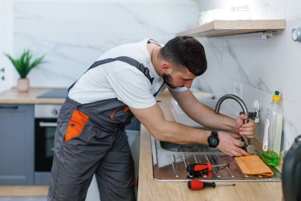 Best Plumbing Services Near Me  in Lake Wildwood, CA