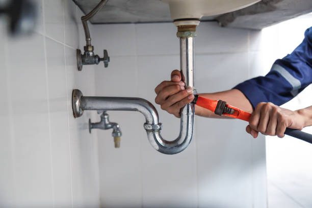 Best Clogged Drain Plumber  in Lake Wildwood, CA